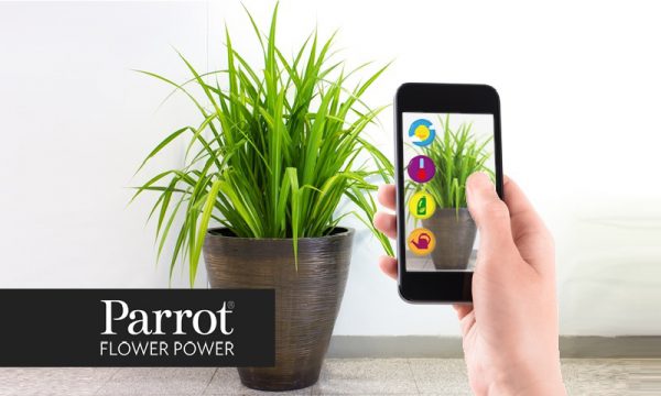 Integrating Parrot Flower Power API with C2M
