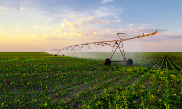 Benefits of a Smart Agriculture Solution