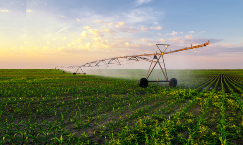 Benefits of a Smart Agriculture Solution